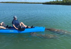 Easy Ride Pedal Kayak Tour Marco Island & Naples (Pedal or Paddle