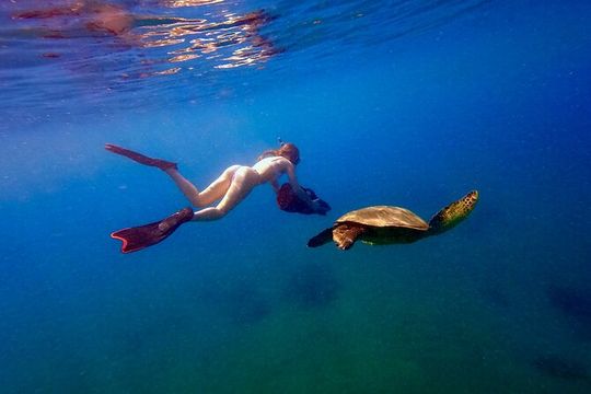 Turtle Town Sea Scooter Snorkeling Guided Tour