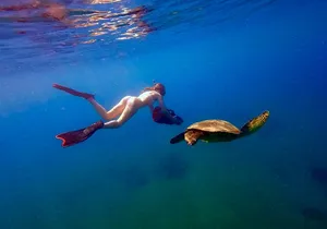 Turtle Town Sea Scooter Snorkeling Guided Tour