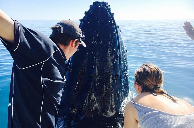 Remote K'gari (Fraser Island) & Whale Experience