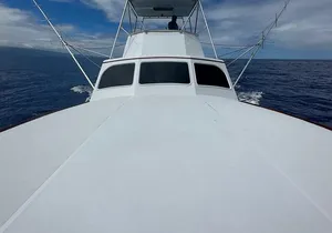 Half Day Morning Fishing Charter