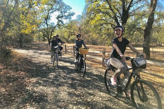 Windsor Bike 'N BeerTour
