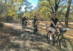 Windsor Bike 'N BeerTour
