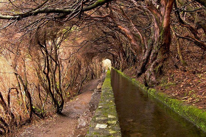 Full-Day Rabaçal Levada Walk from Funchal