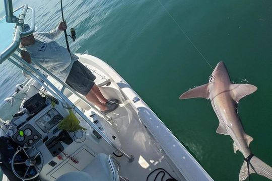 Fishing Charters - Fort Myers Beach / Naples