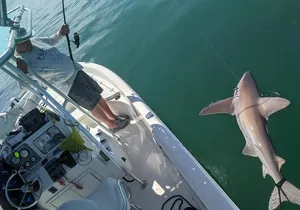 Fishing Charters - Fort Myers Beach / Naples