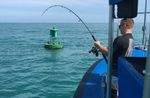 Key West Private Inshore Light Tackle Fishing Charter (10+ passengers) Image 2
