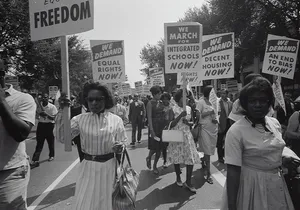 Half-Day Civil Rights Walking Tour in Harlem with Lunch