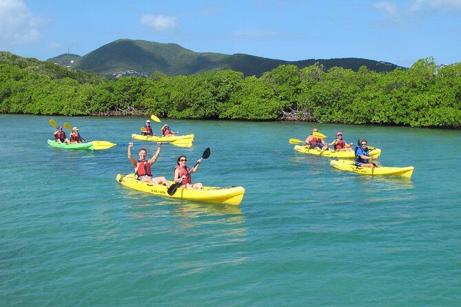Best of Mangrove Lagoon Kayak, Hike and Snorkel Adventure with Picnic Lunch