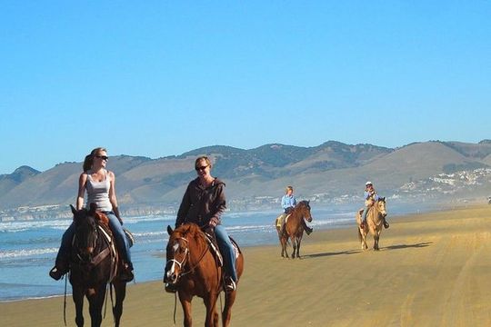 Private Redwoods Tour & Horseback Riding Experience