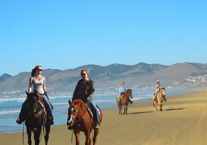 Private Redwoods Tour & Horseback Riding Experience