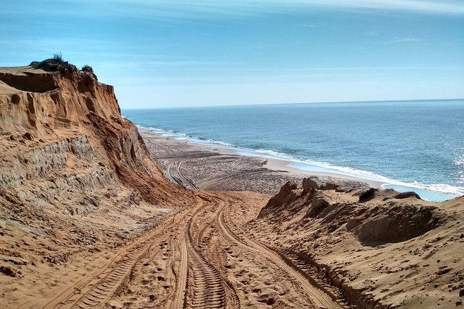 Donana National Park and El Rocío: Guided Tour from Seville