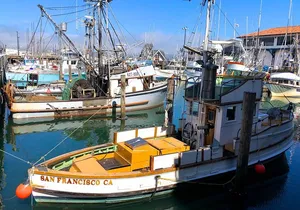 Fisherman's Wharf Walking Tour