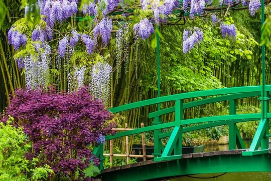 Giverny and Monet's House Half Day Trip from Paris Guide or Audio