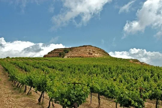 Crete Wine and Olive Oil Tour