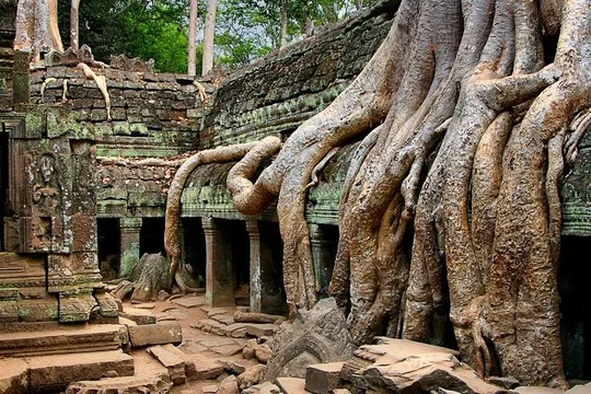 Angkor Wat Sunrise or Sunset Tour with Guide from Siem Reap