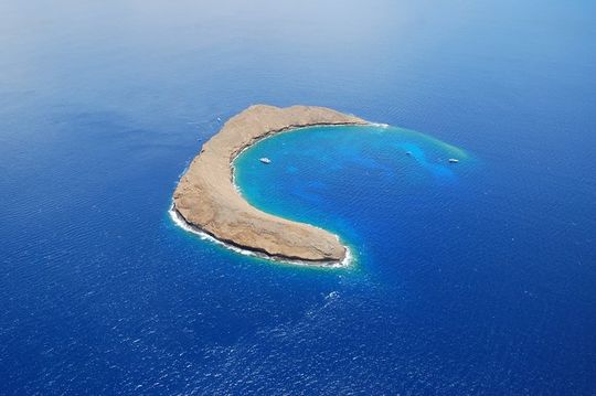 Molokini Crater & Turtle Town Snorkel & Waterslide Adventure