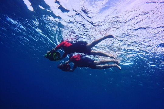 Private Guided Tours Beach Entry with Sea Scooters up to 5 guests
