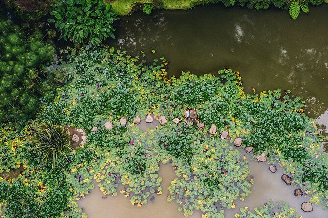 Furnas & Terra Nostra Gardens Biologist-guided e-Tour +lunch