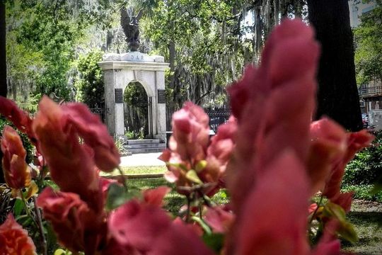 Botanical Tour (by Walk With Me Savannah Tours)