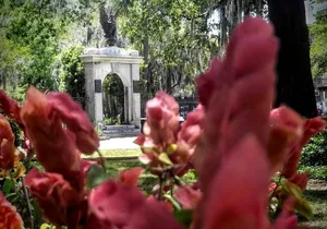 Botanical Tour (by Walk With Me Savannah Tours)