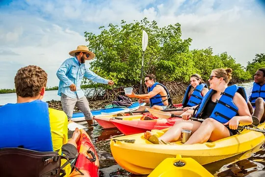 Rookery Bay Kayak Adventure – Mangroves, Wildlife & Photos