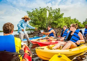 Rookery Bay Kayak Adventure – Mangroves, Wildlife & Photos