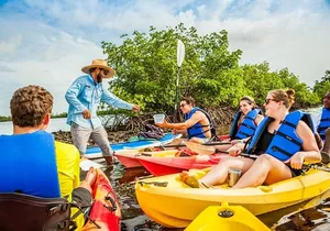 Rookery Bay Kayak Adventure – Mangroves, Wildlife & Photos