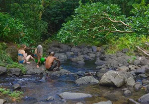 Custom Island Adventure Tours