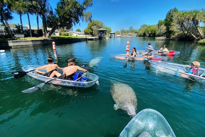 Crystal River Clear Kayak Tour: Three Sisters Springs & Manatees