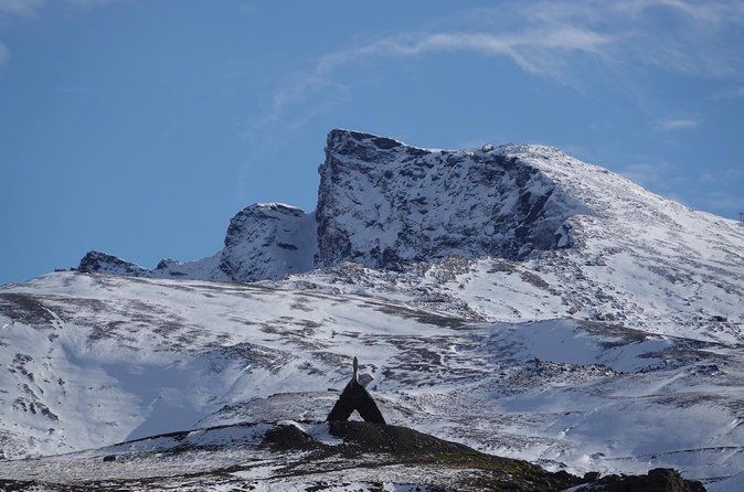 Sierra Nevada Safari – Small Group Tour Up to 2,500 Meters