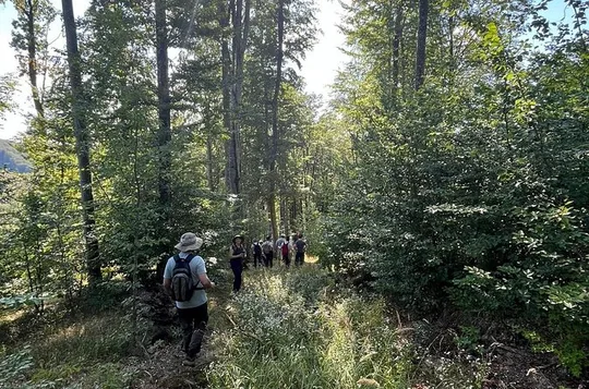 Excursion d'observation de la faune des Carpates au départ de Brașov