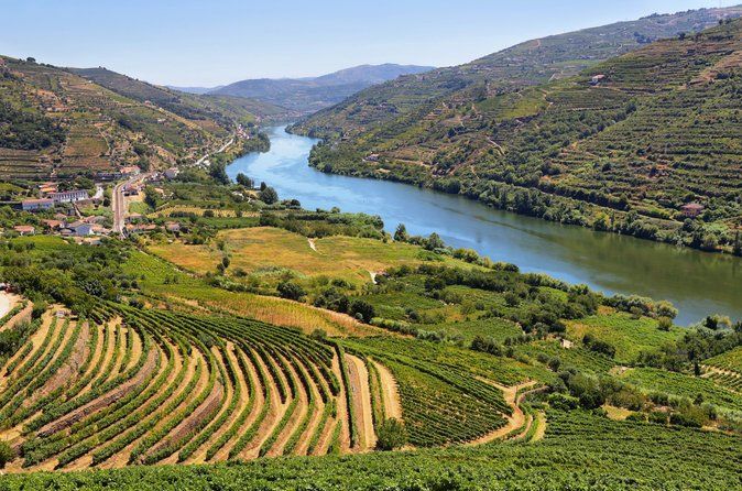 Douro Valley Wine Tour: 2 Wineries, Lunch & River Cruise