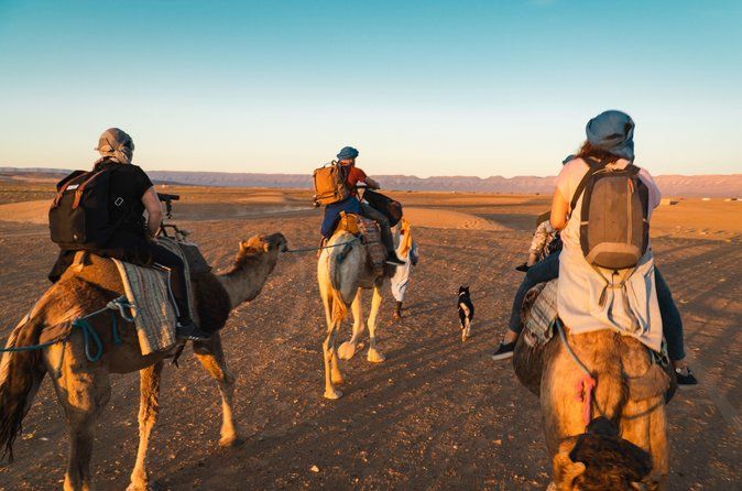 From Marrakech: Zagora 2-Day Desert Safari with Camel, and Camp