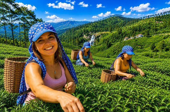 Nuwara Eilya Day Tour