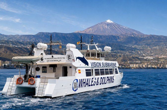 Leaders in Eco Respectful No chase whale and dolphin safari tours
