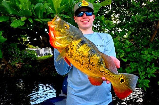 Private Peacock Bass Fishing Charter Near Miami Beach