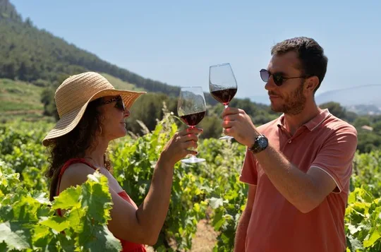 Marseille Highlights & Wine Tasting Day Tour from Marseille
