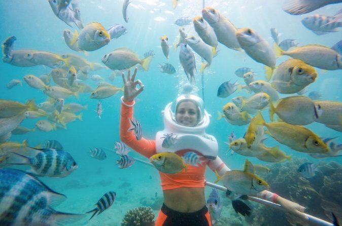 Full-day Cham Islands Cruise from Hoi An with Underwater Walking Excursion
