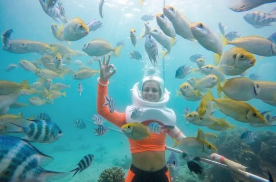 Full-day Cham Islands Cruise from Hoi An with Underwater Walking Excursion