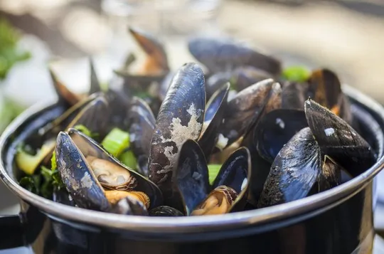 Brussels All In Tour : Belgian food, Chocolate, Beer, Sightseeing