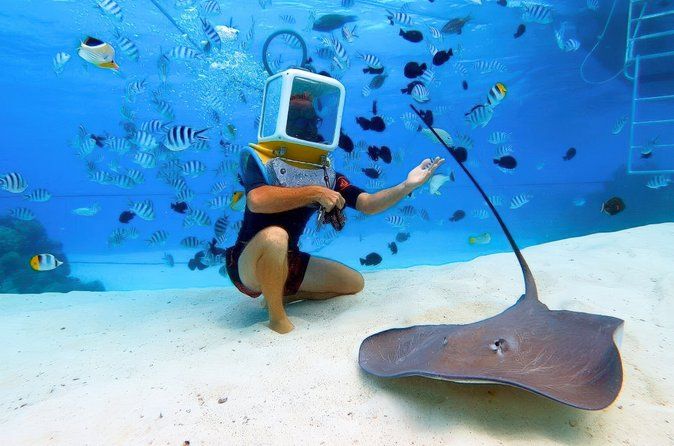Aqua Safari Introductory Helmet Dive (Underwater Walk)
