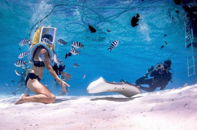 Aqua Safari Introductory Helmet Dive (Underwater Walk)