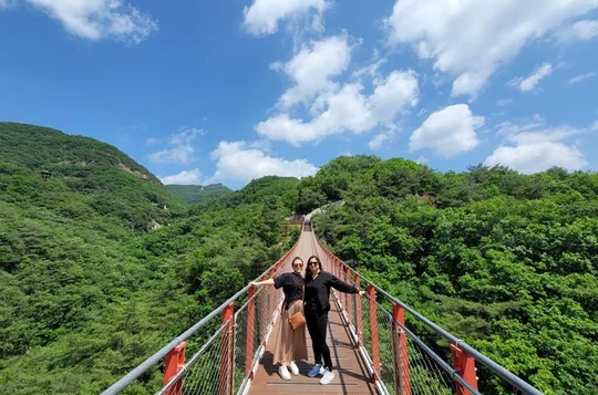 Exclusive small Group DMZ Tour with Hotel pickup&dropoff