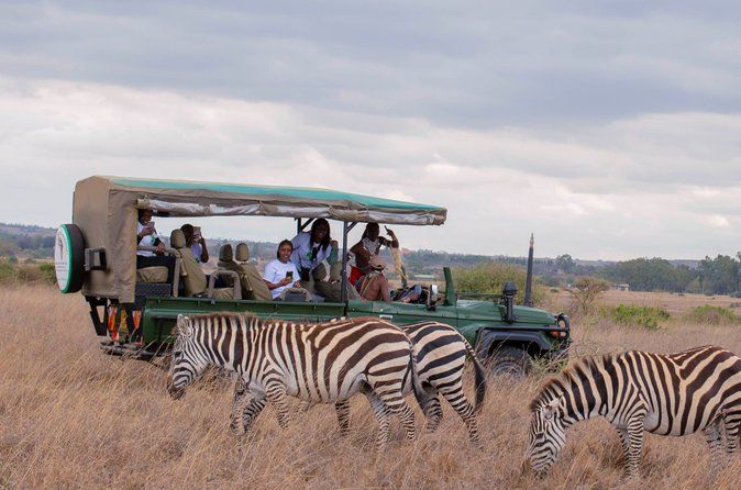 Safari Tour; Nairobi National Park