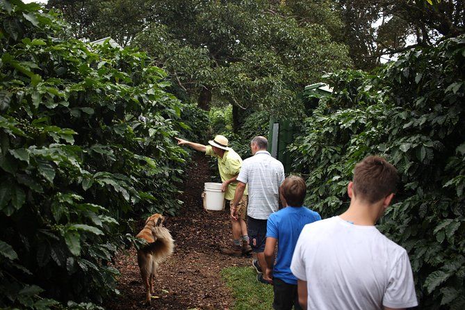 Small, Hands-on Coffee Tour