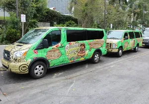 Everglades & Miami city tour with experienced guide in small group