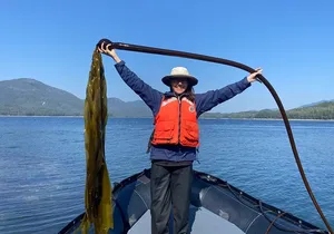 Alaska Ocean Wilderness Expedition