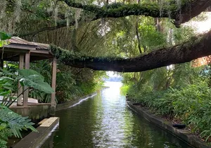 Peacocks, Presidents and Puzzles - The Winter Park Walking Tour + Boat