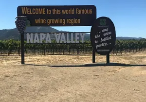 5 hours private napa wine tour from san francisco up to 7 people